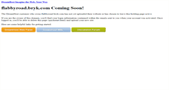 Desktop Screenshot of flabbyroad.bryk.com